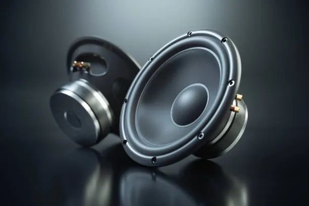 Audio Systems: Car woofer and tweeter