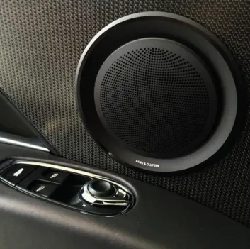 Audio Systems: Speaker fitted in a car door